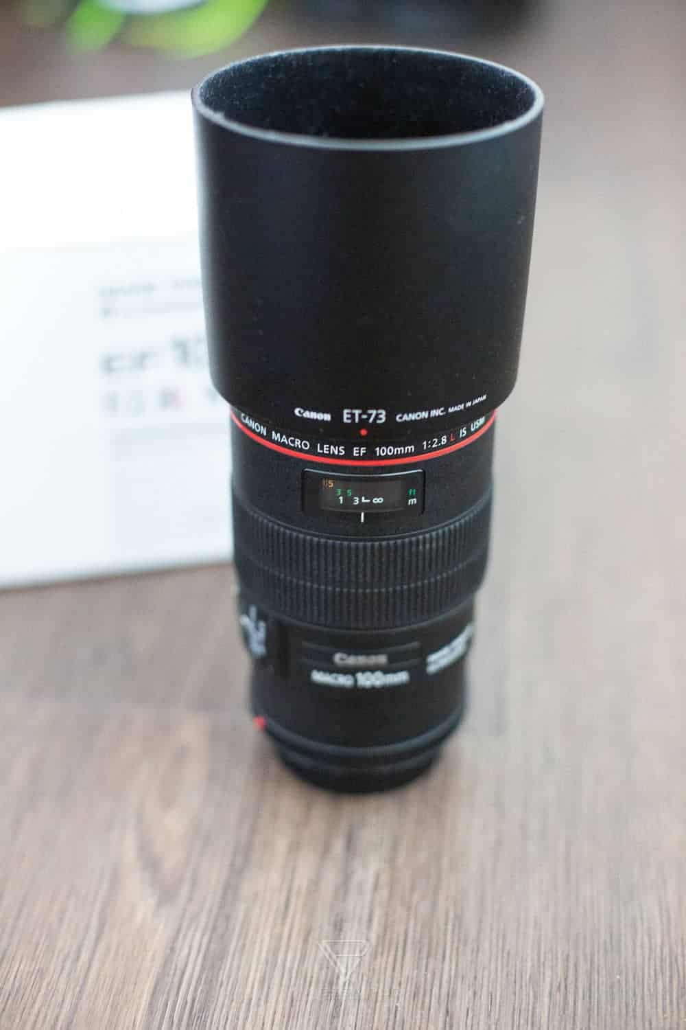 Canon 100mm f/2.8L Macro IS USM im Test - Bestes Macro Objektiv?