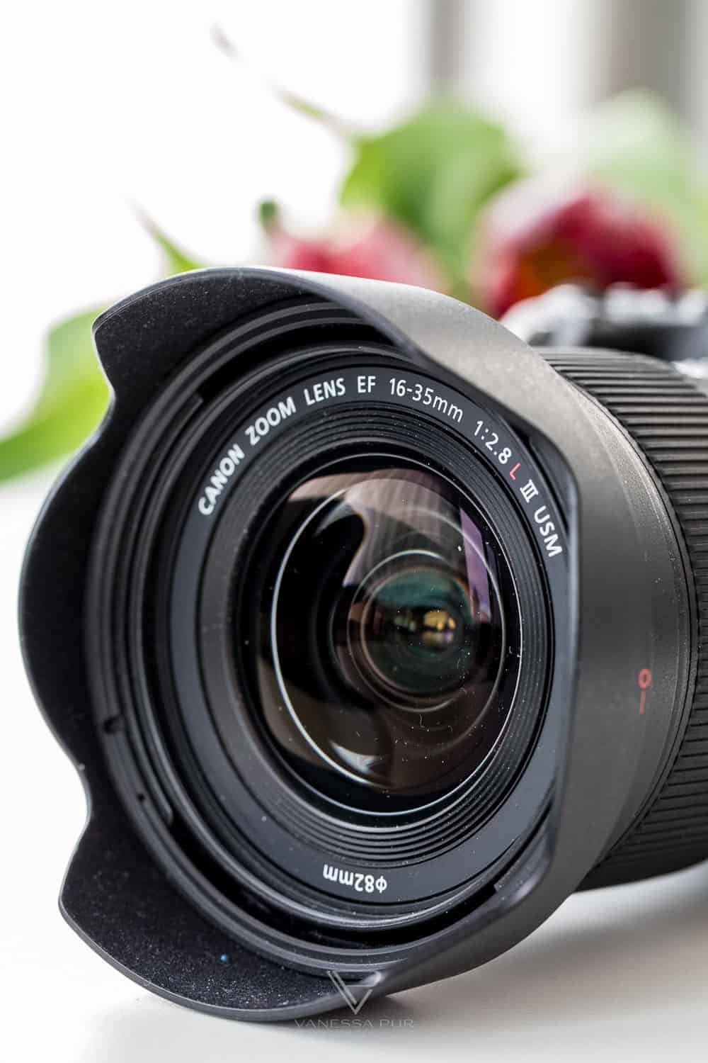 Canon EF 16-35 f/2.8 L III USM Objektiv im Test für Video und Foto - Fotoblog und Videoblogger