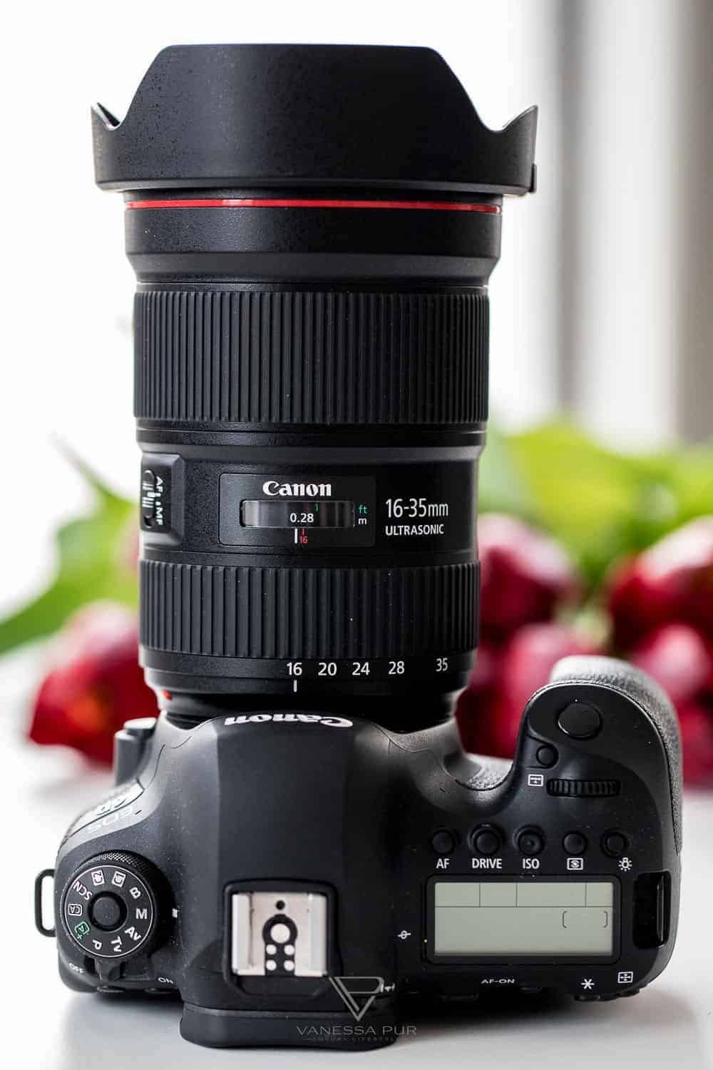 Canon EF 16-35 f/2.8 L III USM Objektiv im Test für Video und Foto - Fotoblog und Videoblogger