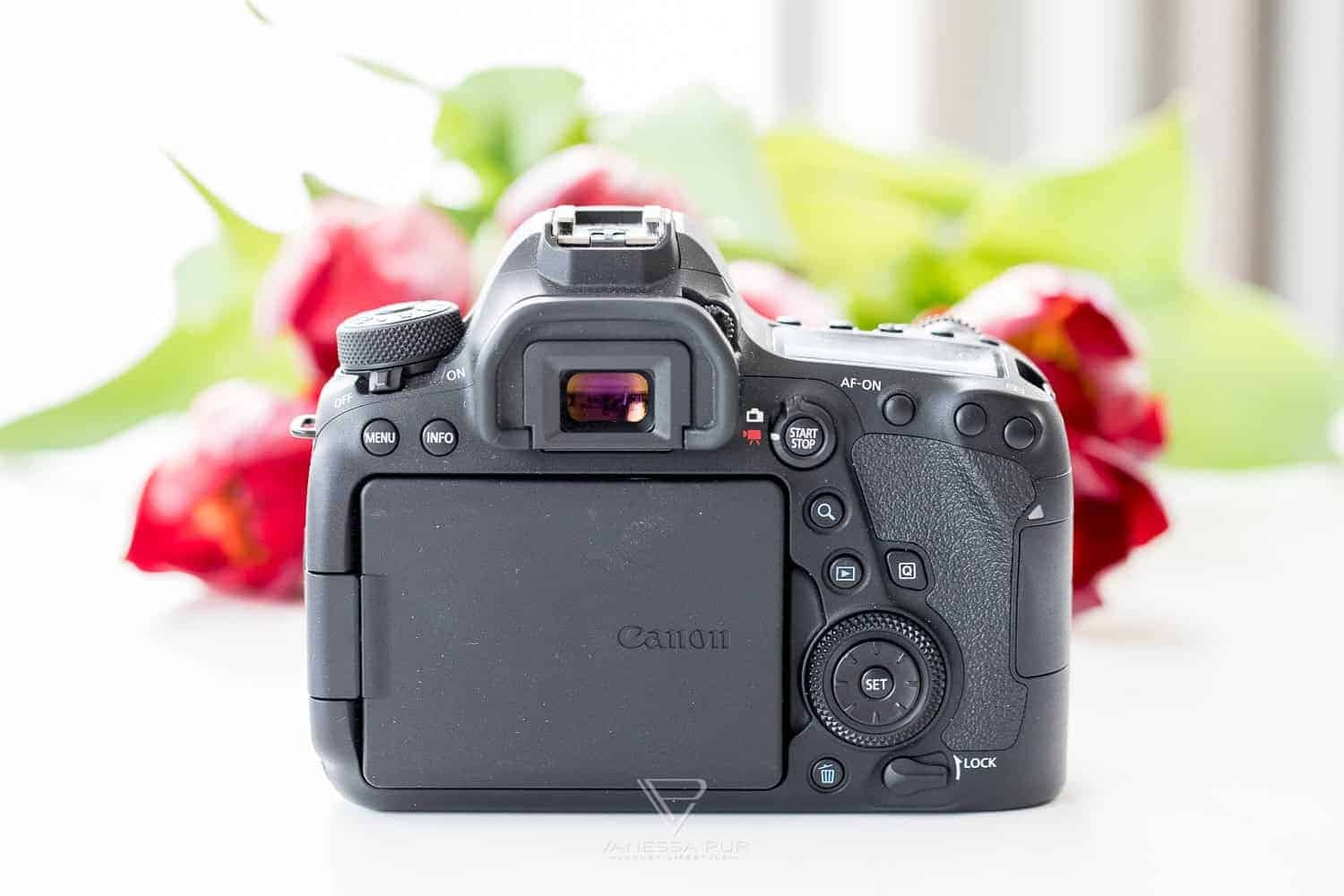 Canon 6D Mark II im Langzeittest - Kamera für Fotografen und Video-Filmer - wie gut ist die Vollformat-Kamera von Canon für Fotografen, Vlogger und YouTuber? Lohnt sich der Umstieg? Welche Alternativen gibt es?