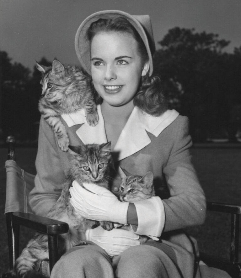 Terry Moore